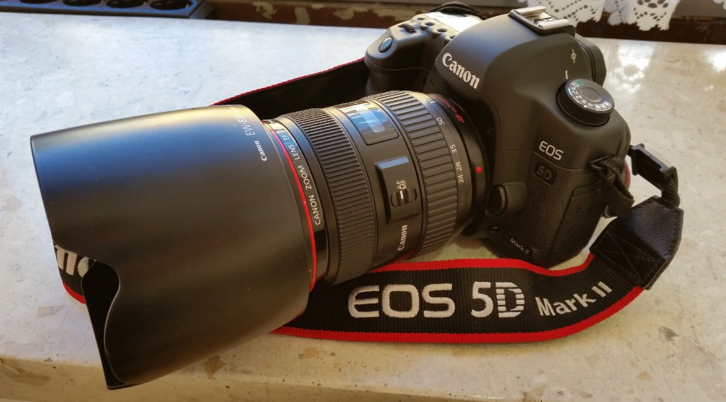 Canon Spiegelreflexkamera EOS 5D Mark II